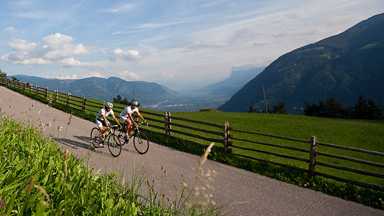 Rennrad Vinschgau Zwischen Stilfser Joch Timmelsjoch in Südtirol