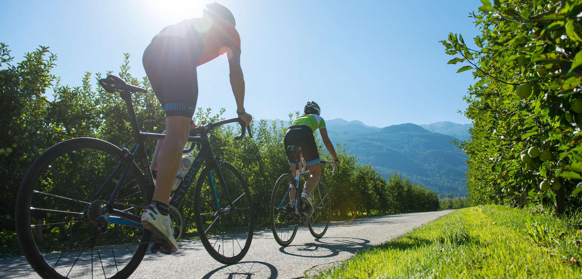 Rennradtour Vinschgau - auf den Insiderstrecken unserer Rennradguides