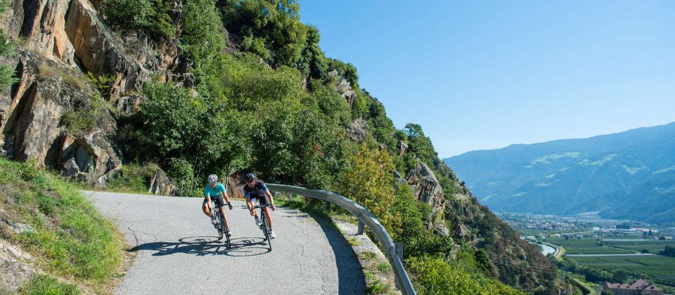 "STORCK" road bike opening week